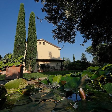 ביבונה Agriturismo Le Vallette מראה חיצוני תמונה