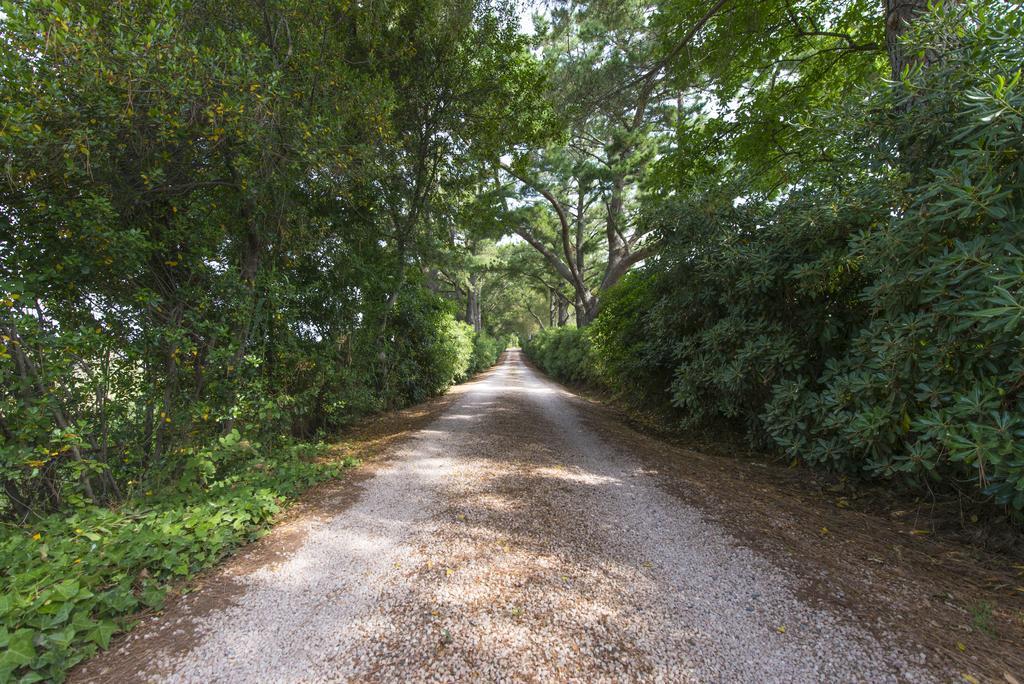 ביבונה Agriturismo Le Vallette מראה חיצוני תמונה