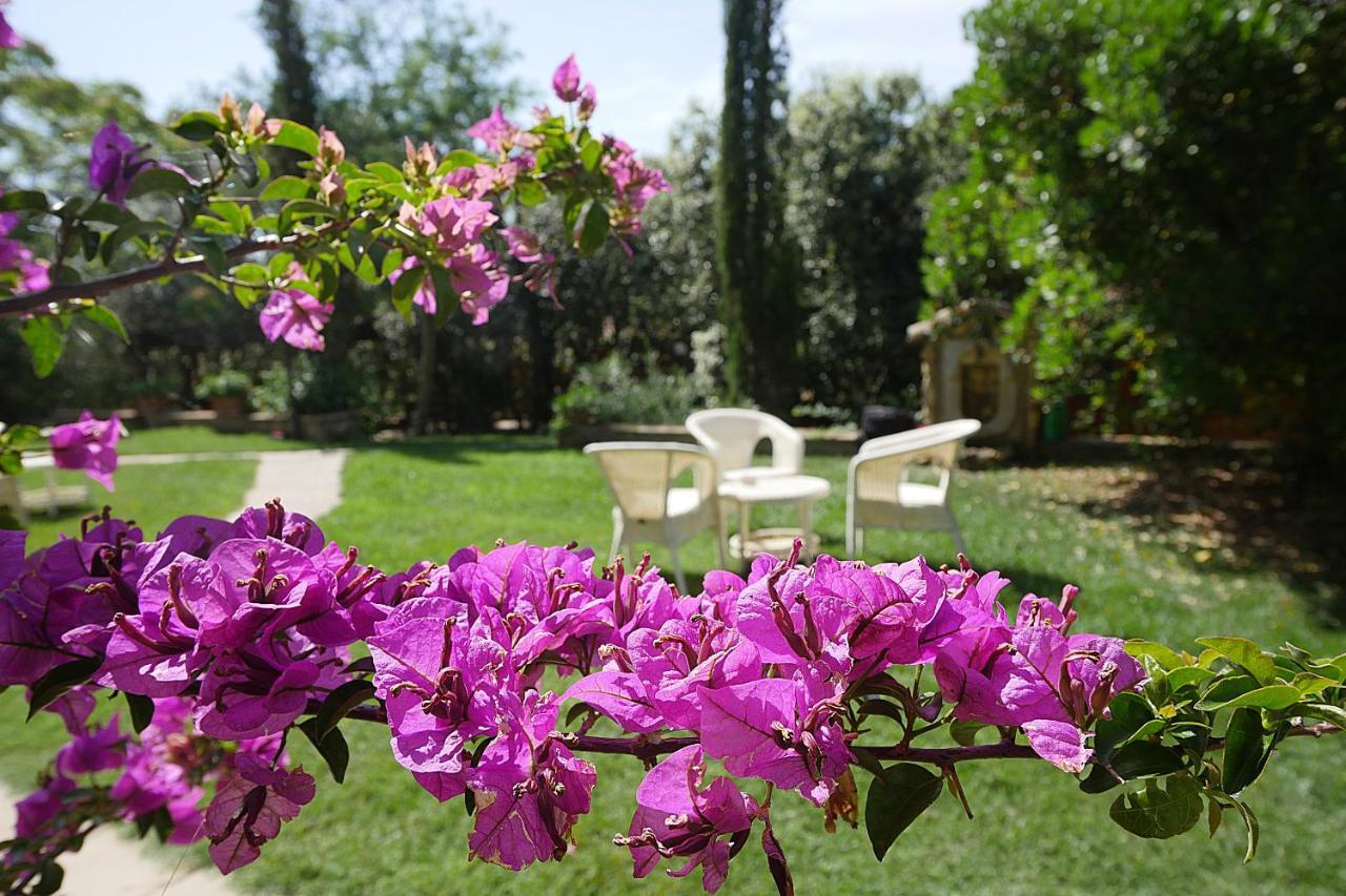 ביבונה Agriturismo Le Vallette מראה חיצוני תמונה