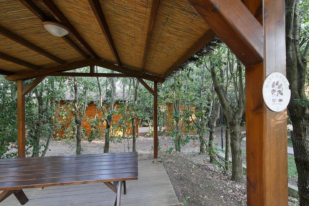 ביבונה Agriturismo Le Vallette מראה חיצוני תמונה